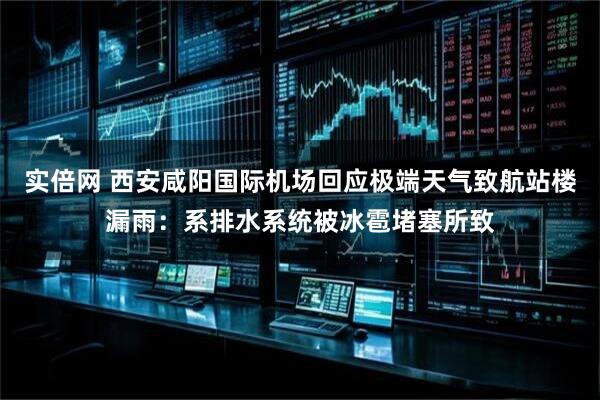 实倍网 西安咸阳国际机场回应极端天气致航站楼漏雨：系排水系统被冰雹堵塞所致