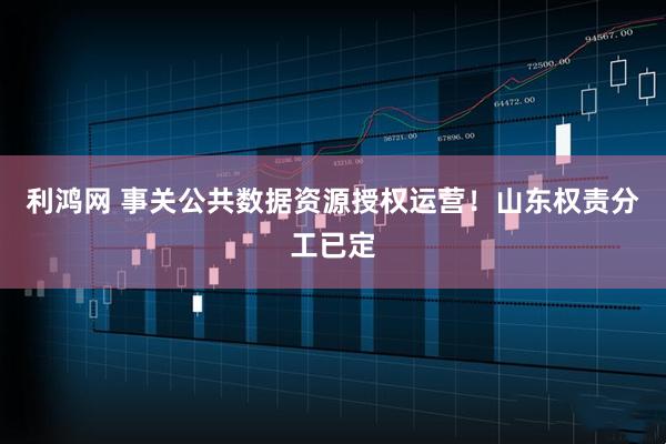 利鸿网 事关公共数据资源授权运营！山东权责分工已定