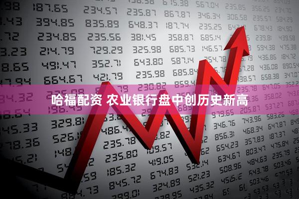 哈福配资 农业银行盘中创历史新高