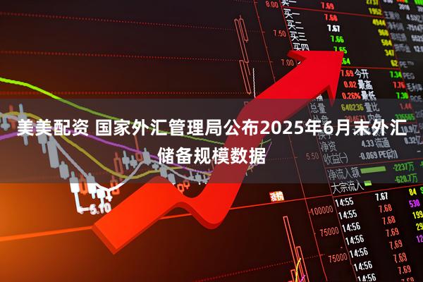 美美配资 国家外汇管理局公布2025年6月末外汇储备规模数据