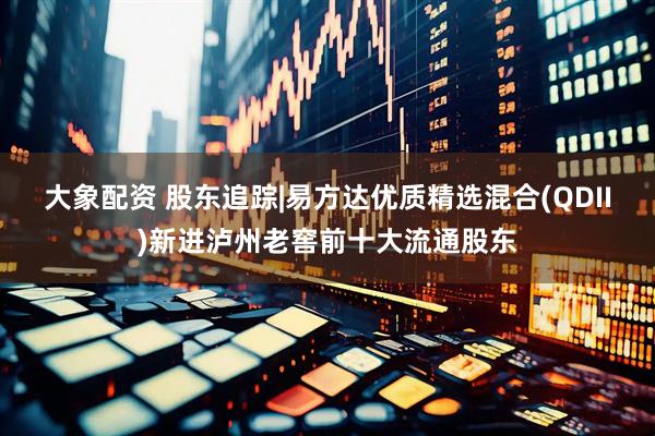 大象配资 股东追踪|易方达优质精选混合(QDII)新进泸州老窖前十大流通股东