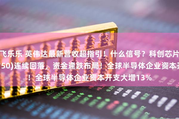 飞乐乐 英伟达最新营收超指引！什么信号？科创芯片50ETF(588750)连续回落，资金逢跌布局！全球半导体企业资本开支大增13%