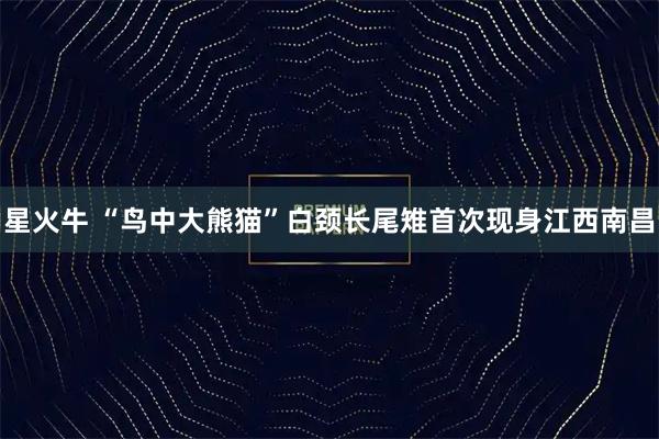 星火牛 “鸟中大熊猫”白颈长尾雉首次现身江西南昌