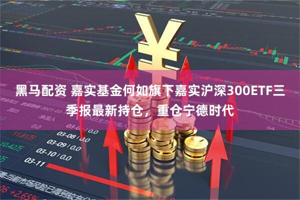 黑马配资 嘉实基金何如旗下嘉实沪深300ETF三季报最新持仓，重仓宁德时代