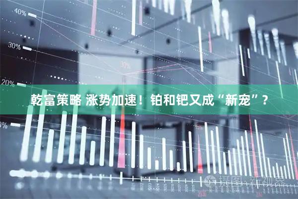 乾富策略 涨势加速！铂和钯又成“新宠”？