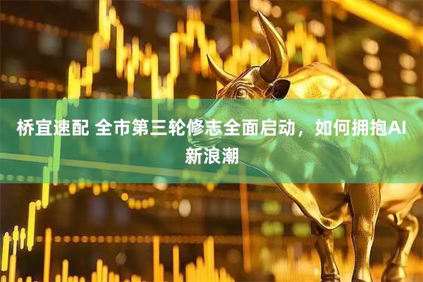 桥宜速配 全市第三轮修志全面启动，如何拥抱AI新浪潮