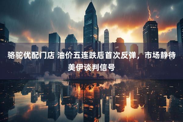 骆驼优配门店 油价五连跌后首次反弹，市场静待美伊谈判信号